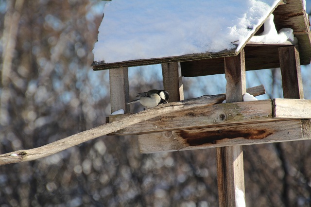 ファイル 4-5.jpg