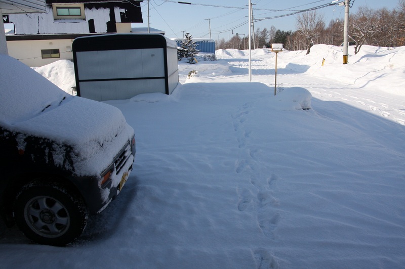 ファイル 40-1.jpg