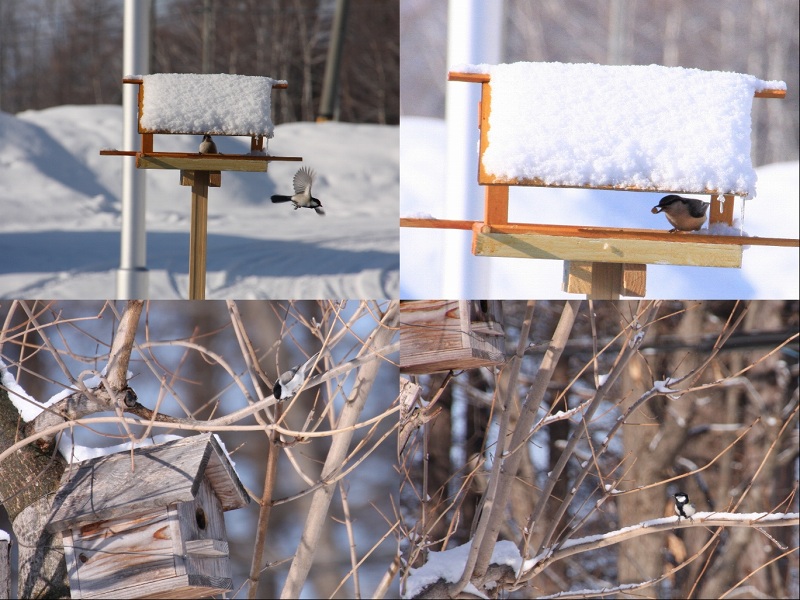 ファイル 40-4.jpg