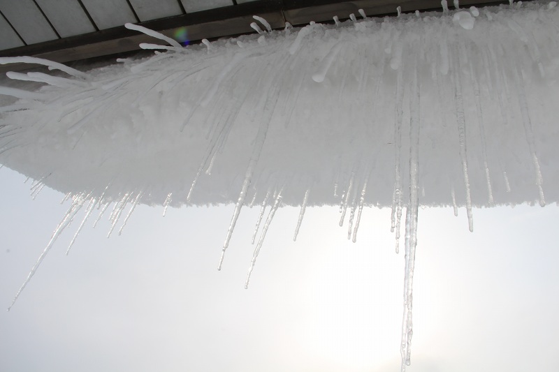 ファイル 43-1.jpg