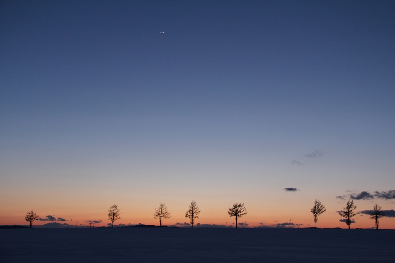 ファイル 46-5.jpg