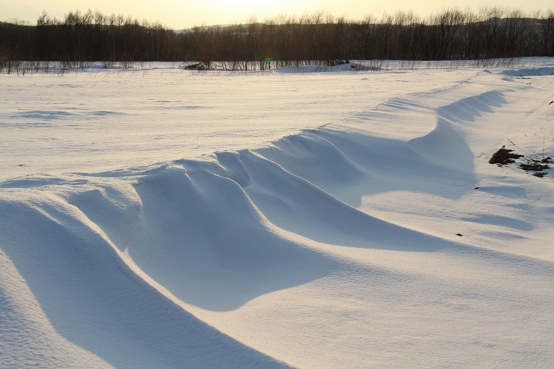 ファイル 48-2.jpg