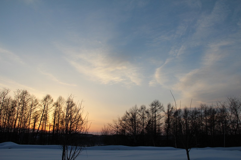 ファイル 48-3.jpg