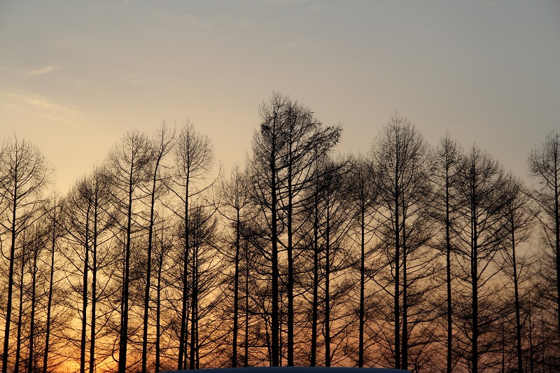 ファイル 48-4.jpg