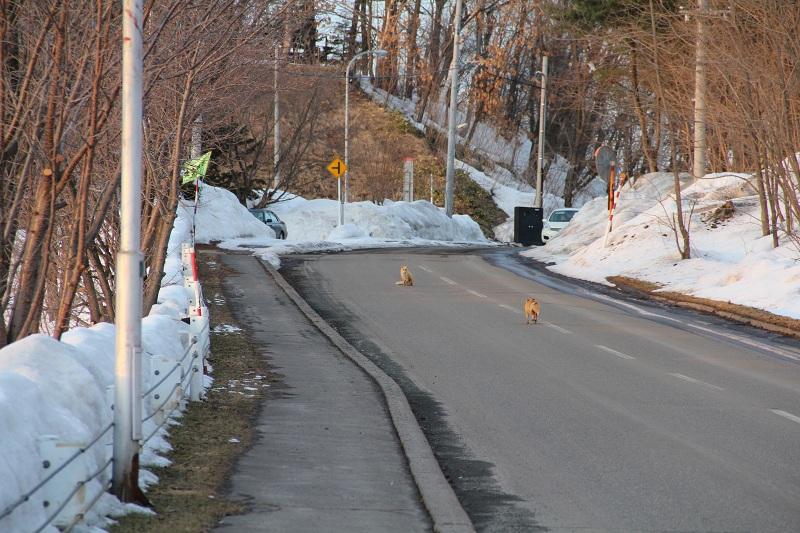 ファイル 49-2.jpg