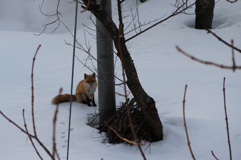 ファイル 49-5.jpg