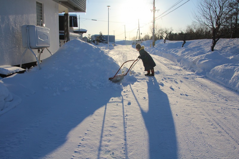 ファイル 5-1.jpg