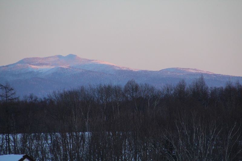 ファイル 5-4.jpg