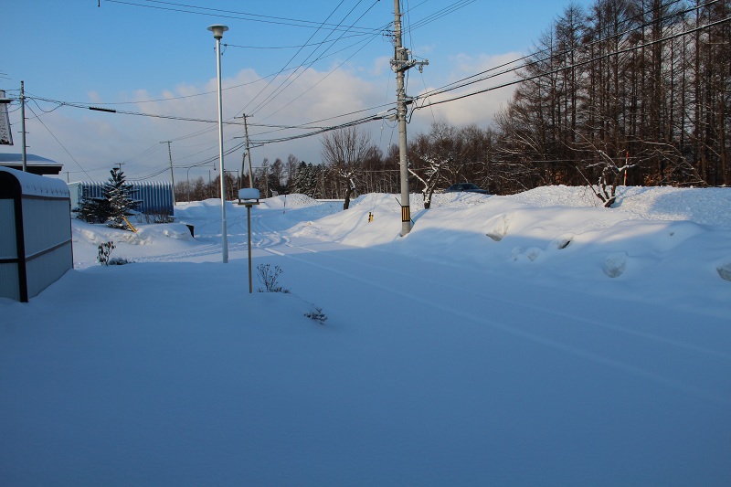 ファイル 50-2.jpg