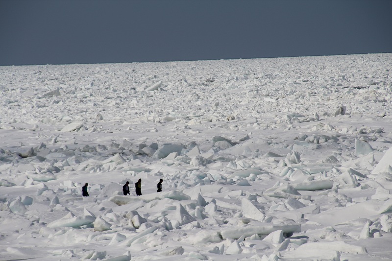 ファイル 51-3.jpg