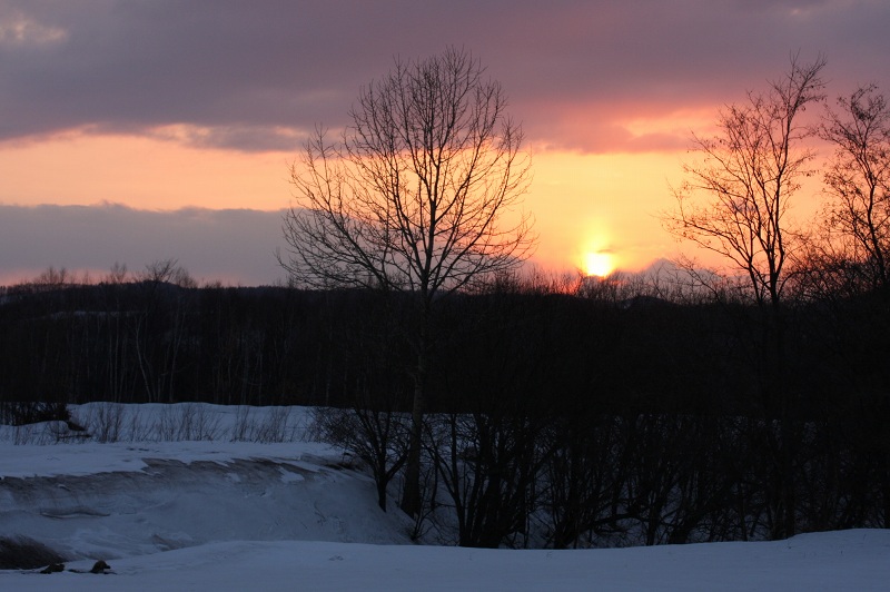 ファイル 52-4.jpg