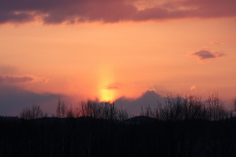 ファイル 52-5.jpg