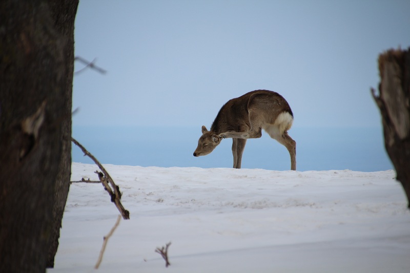 ファイル 53-2.jpg