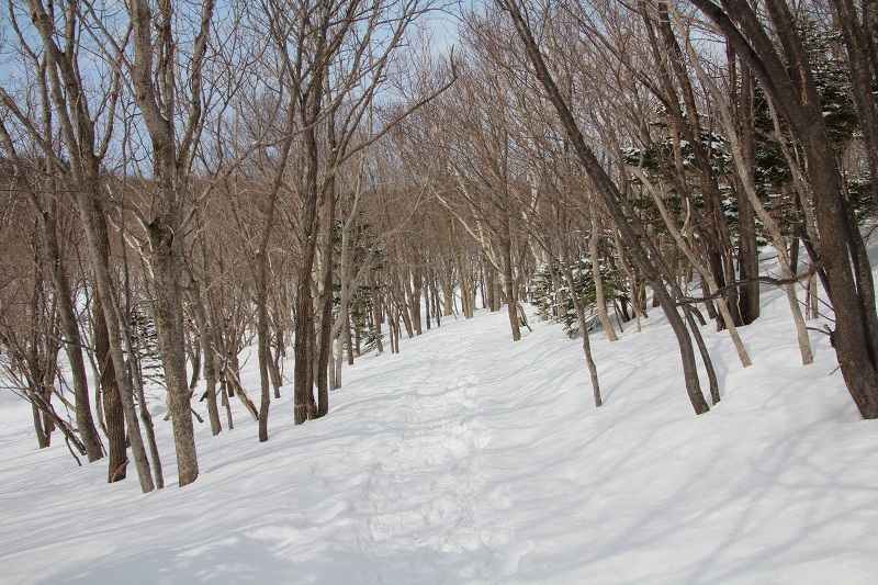 ファイル 55-2.jpg