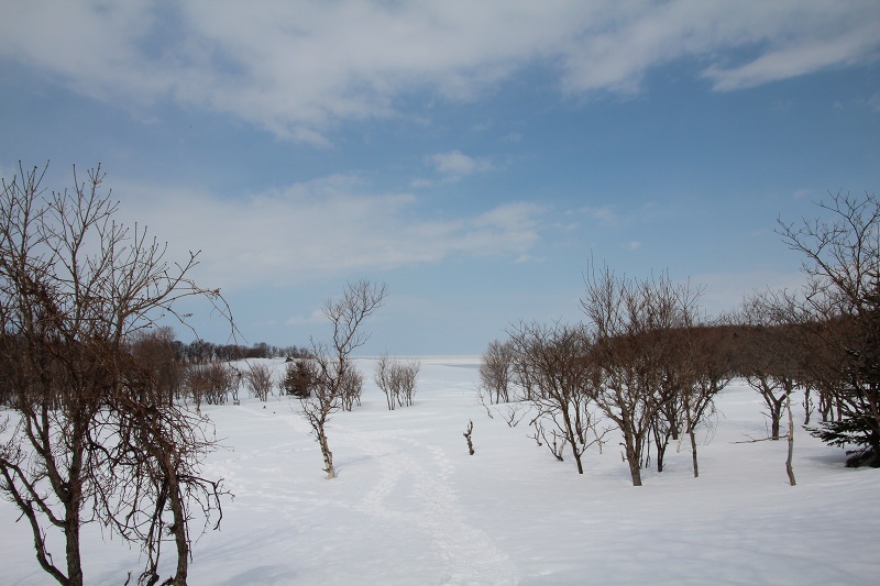 ファイル 55-3.jpg