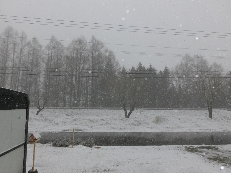 ファイル 58-2.jpg