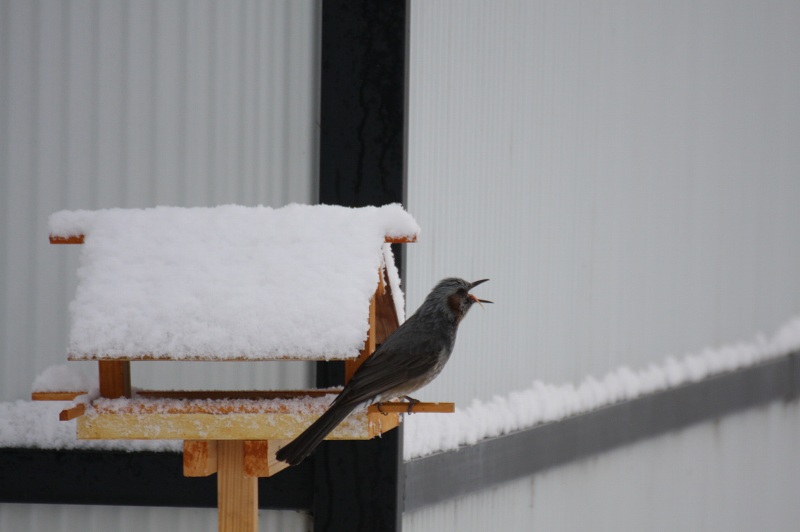 ファイル 58-3.jpg