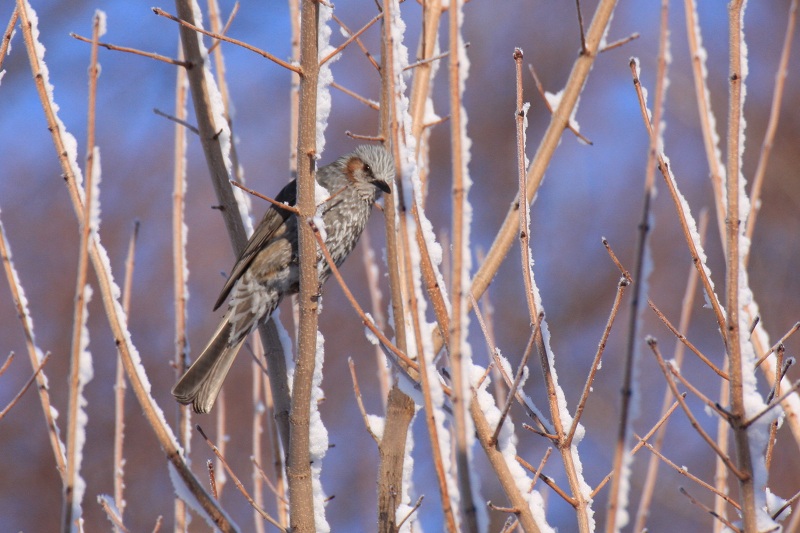 ファイル 58-4.jpg