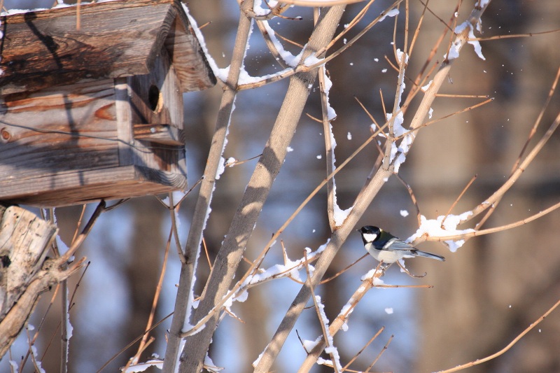 ファイル 58-5.jpg