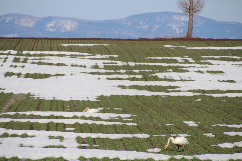 ファイル 59-2.jpg