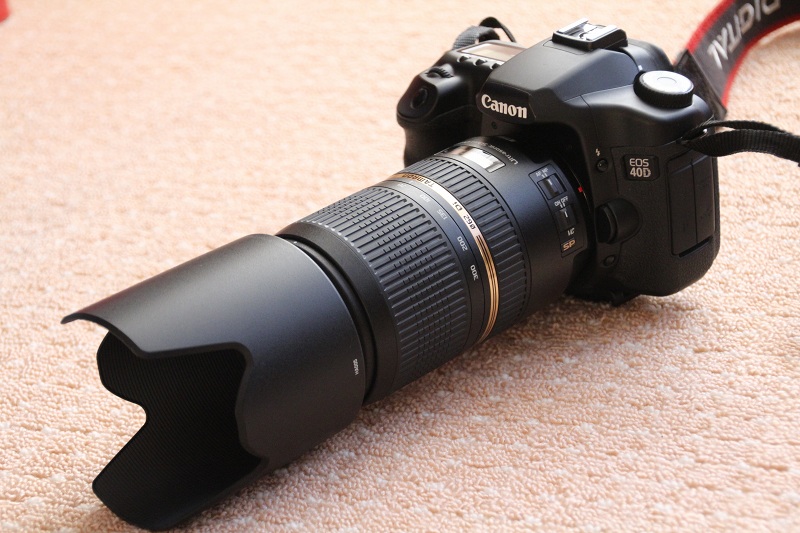 ファイル 6-1.jpg