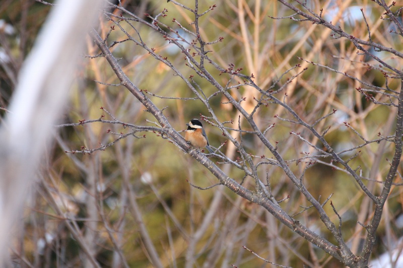 ファイル 6-4.jpg