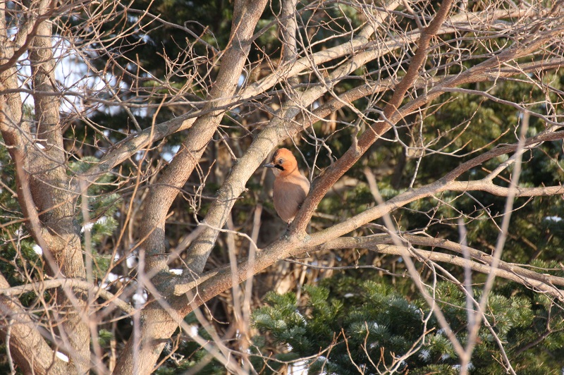 ファイル 6-5.jpg