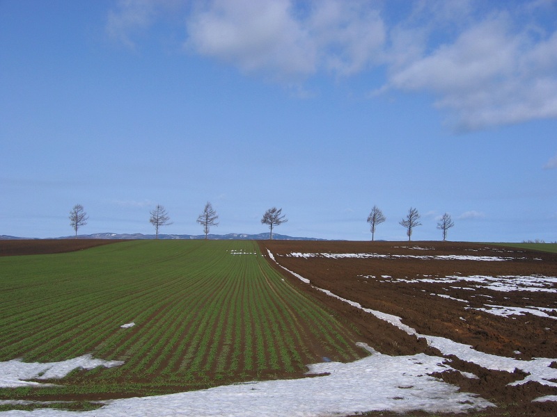 ファイル 61-1.jpg