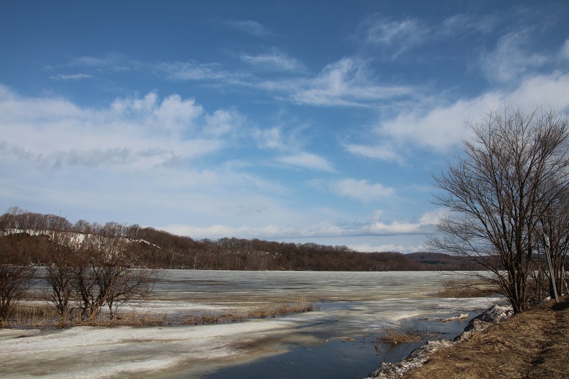 ファイル 62-1.jpg