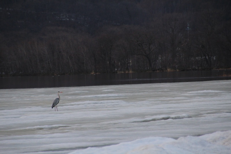 ファイル 62-4.jpg