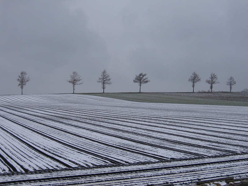 ファイル 65-3.jpg