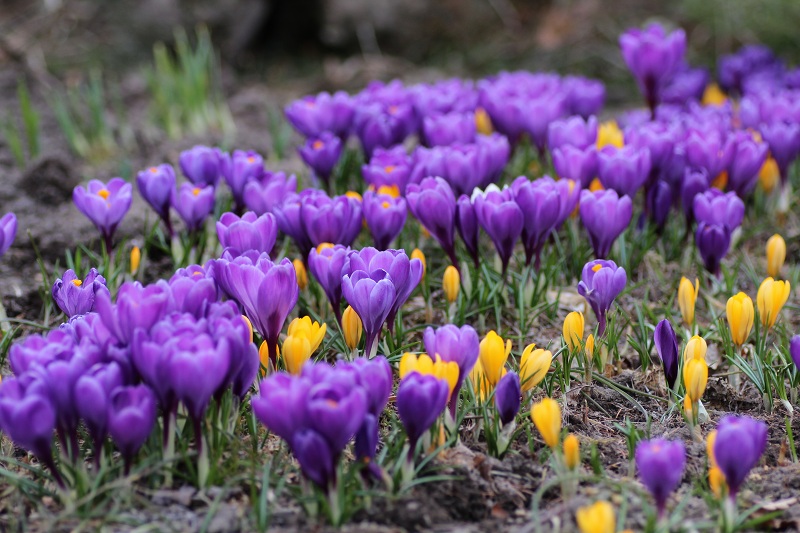 ファイル 66-1.jpg