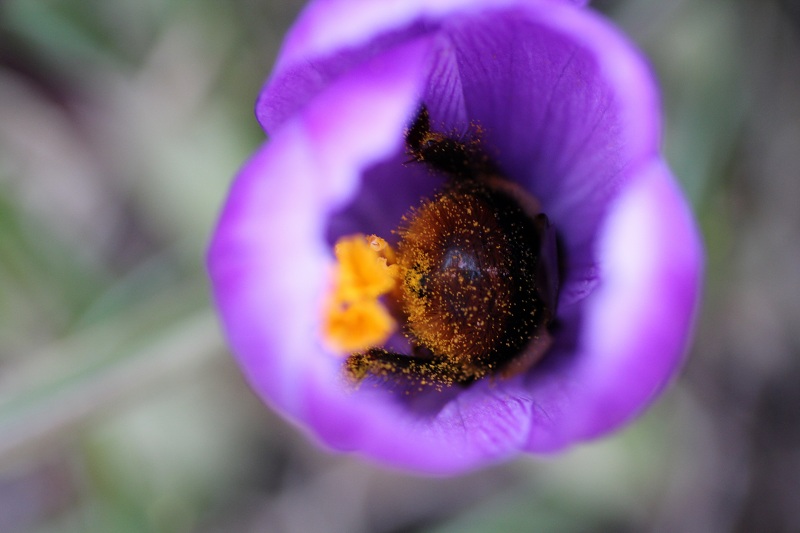 ファイル 66-3.jpg