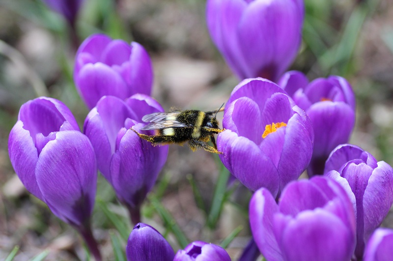 ファイル 66-4.jpg