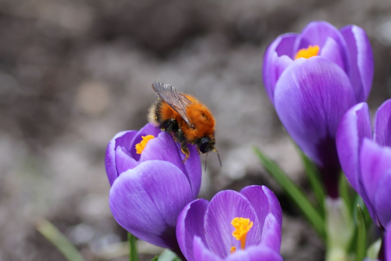 ファイル 66-5.jpg