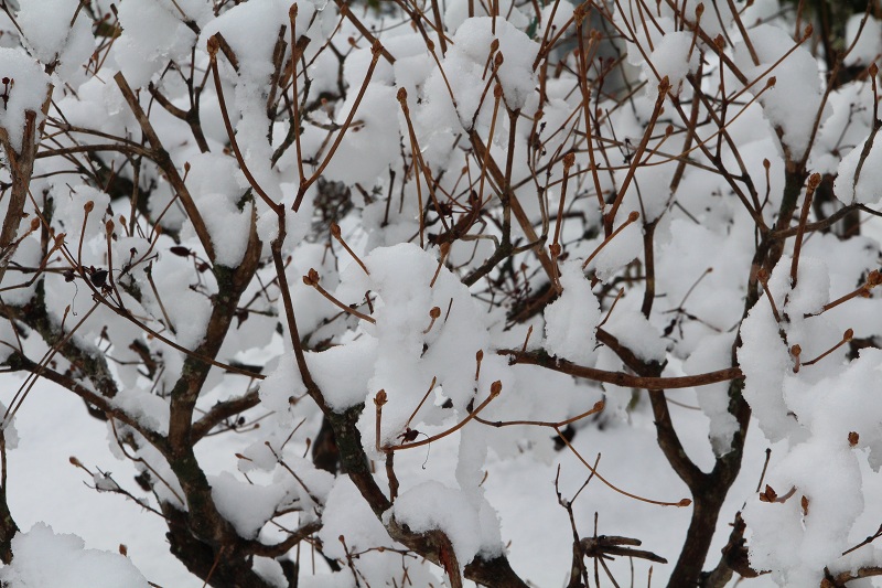 ファイル 67-2.jpg