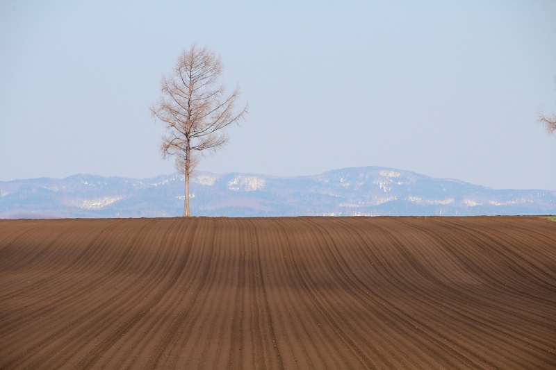 ファイル 68-1.jpg