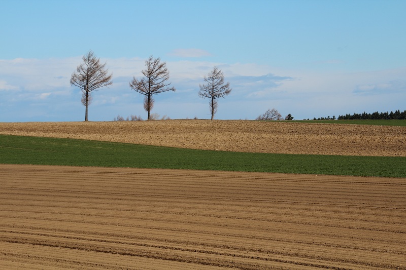 ファイル 69-1.jpg