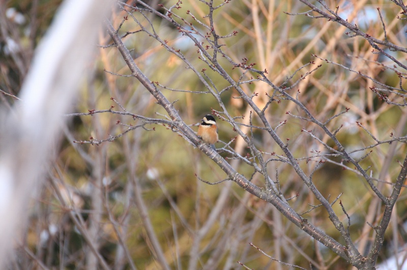 ファイル 7-2.jpg