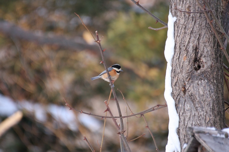 ファイル 7-4.jpg