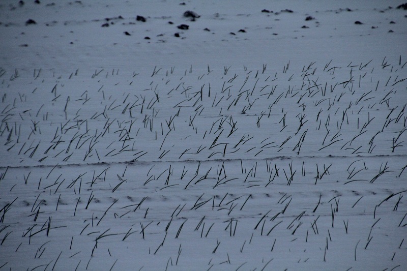 ファイル 71-2.jpg