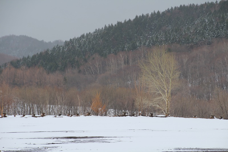 ファイル 72-2.jpg