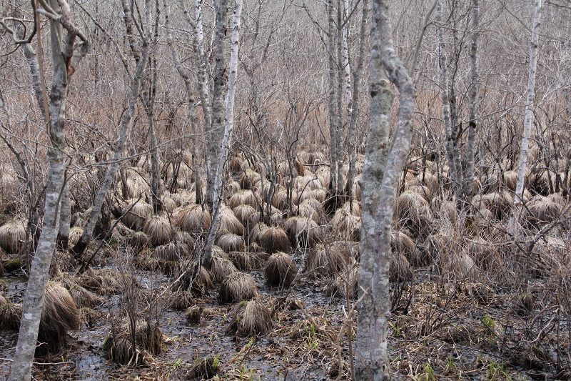 ファイル 73-4.jpg