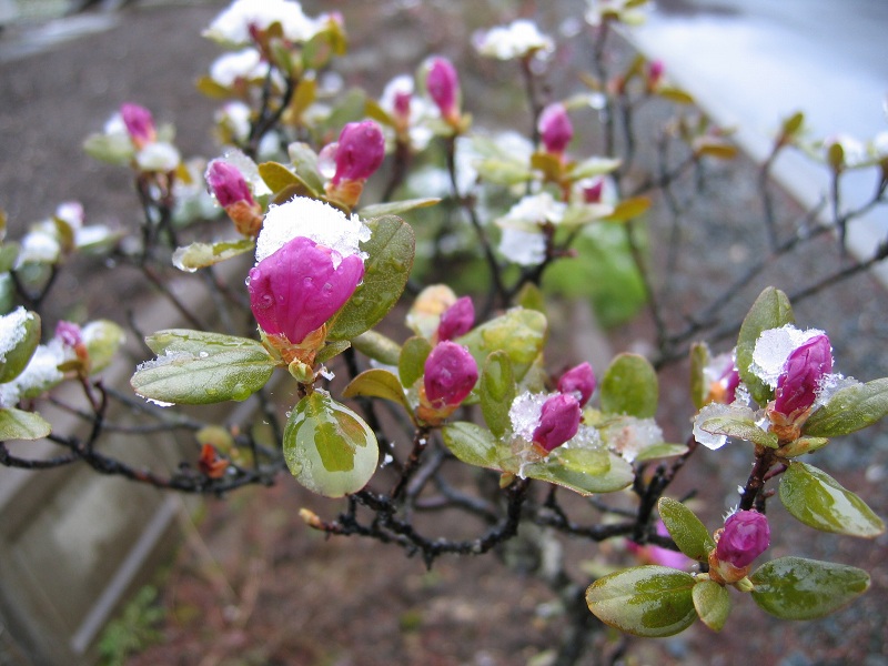 ファイル 76-1.jpg