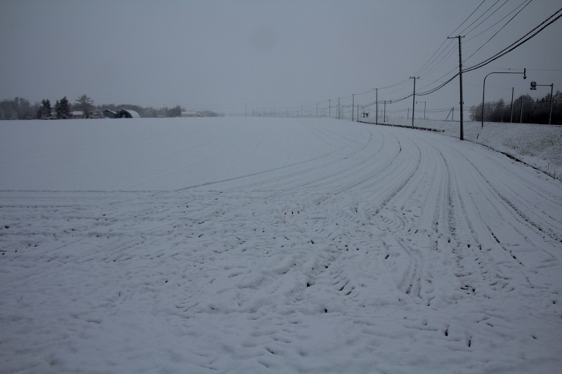 ファイル 77-1.jpg