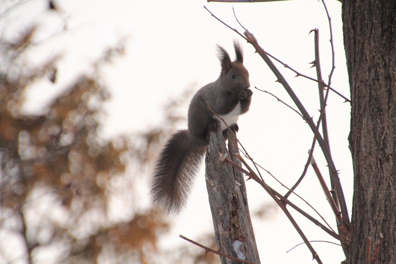 ファイル 8-2.jpg