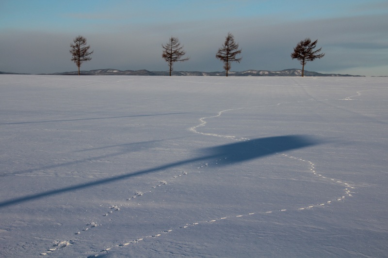 ファイル 8-3.jpg