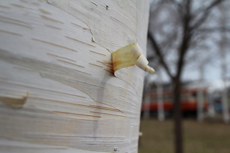 ファイル 80-1.jpg