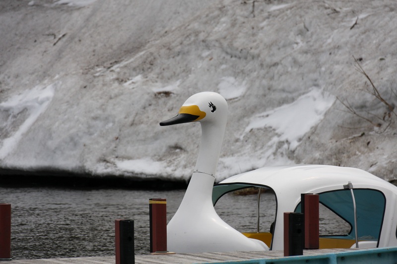 ファイル 80-3.jpg