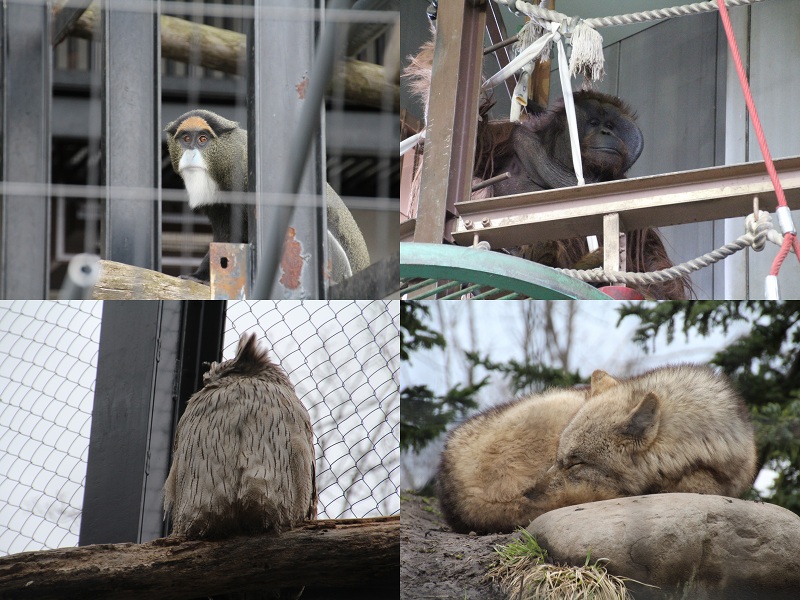 ファイル 81-1.jpg